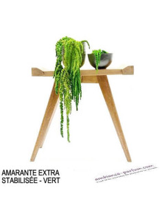 AMARANTE EXTRA STABILISÉE - VERT 2