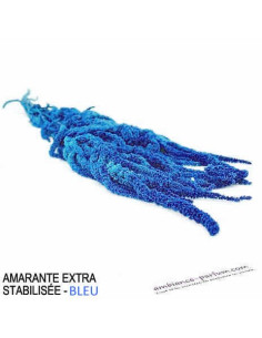 AMARANTE EXTRA STABILISÉE - BLEU